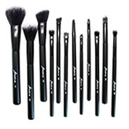 12 piece pro makeup brush set
