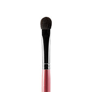 pink lip brushes